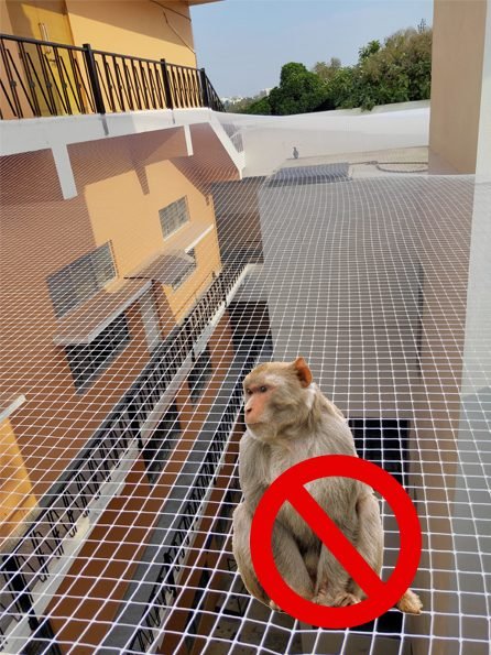Monkey Safety Nets installation in Hyderabad by Jhansi