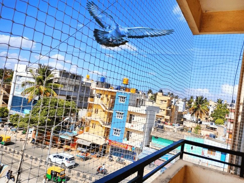 Pigeon Safety Nets installation photo by Jhansi, Hyderabad