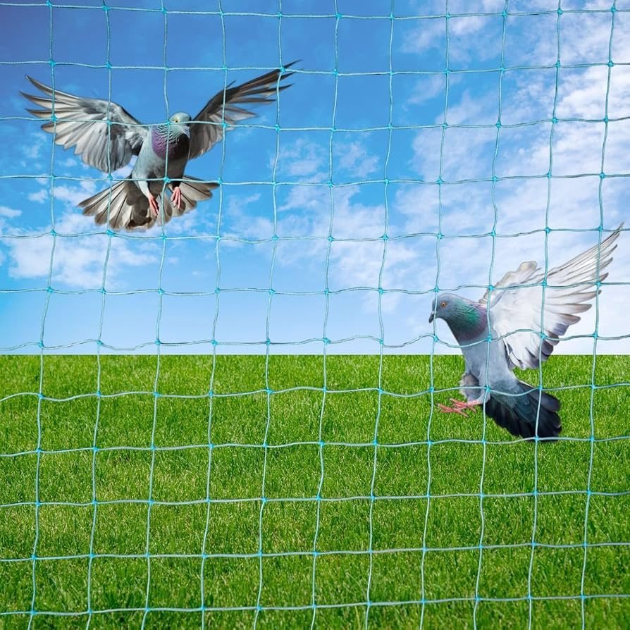Pigeon Safety Nets installation photo by Jhansi, Hyderabad